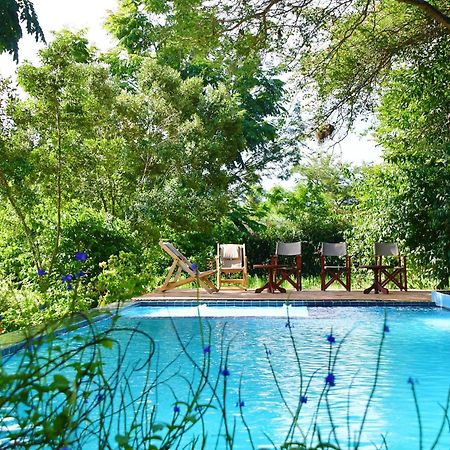 Tanzanice Farm Lodge Карату Экстерьер фото