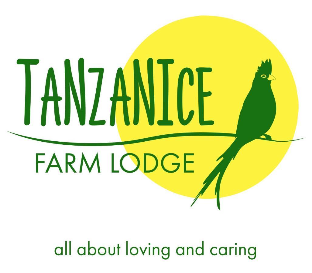 Tanzanice Farm Lodge Карату Экстерьер фото