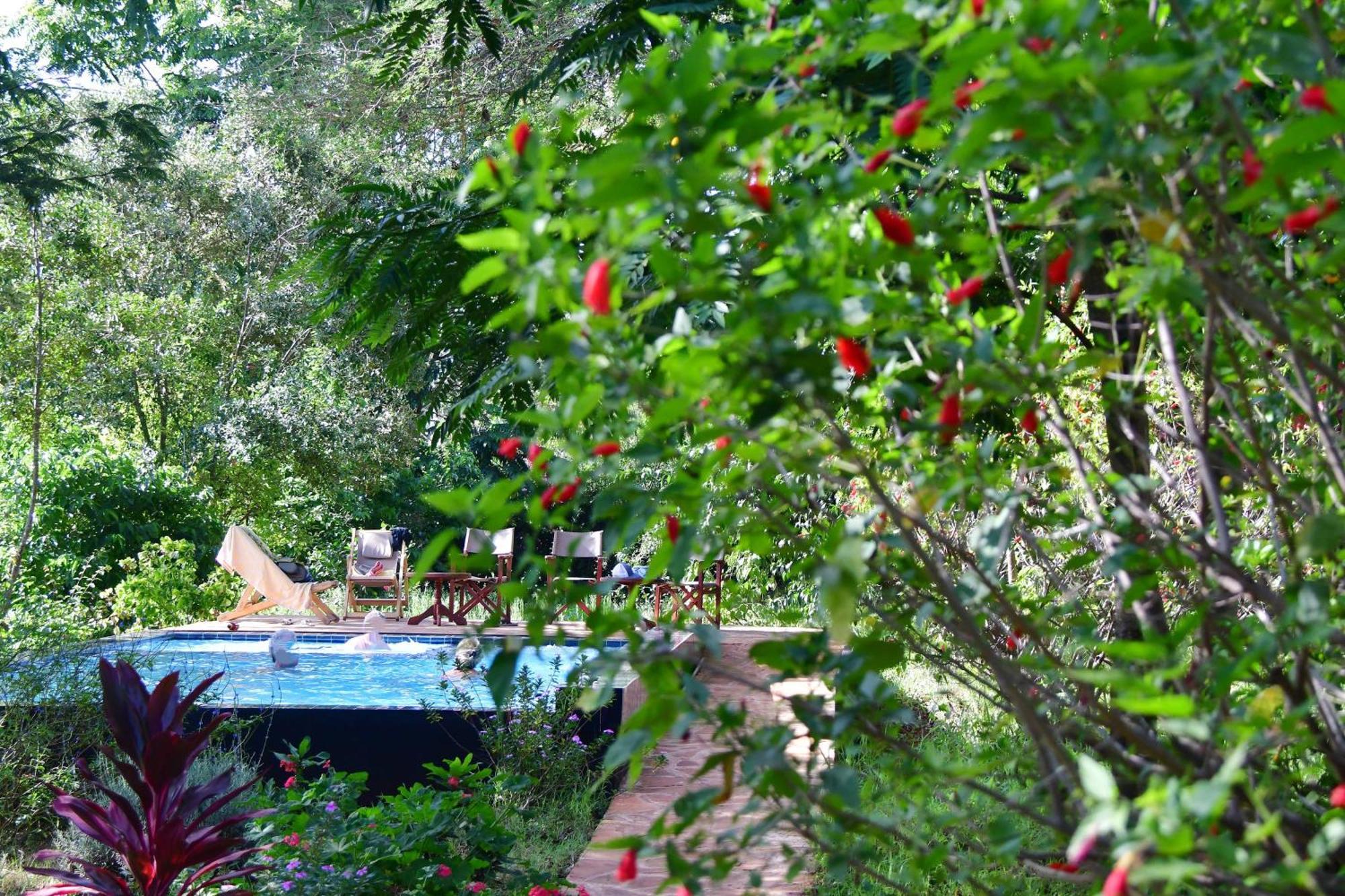 Tanzanice Farm Lodge Карату Экстерьер фото